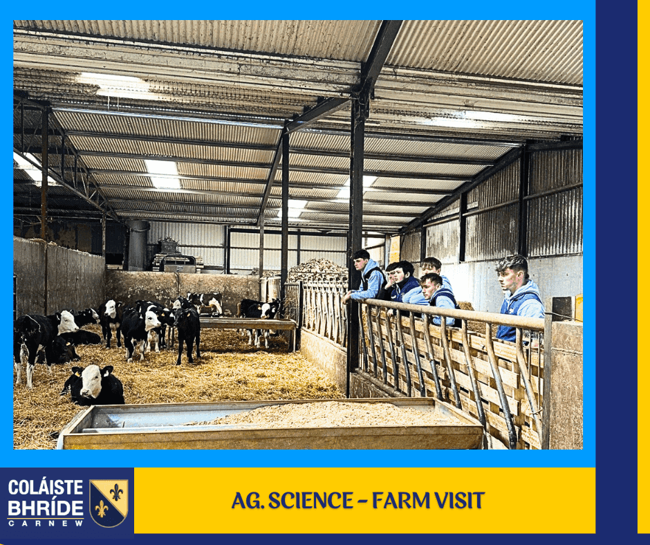 cbcarnew's tweet photo. Sixth year Ag Science students visited Michael Martin’s tillage and beef farm in Rathnure, Co. Wexford.    The day was filled with lots of students discussion on farm safety, welfare, nutrition, housing and care of beef and calf to beef systems. https://t.co/DAYqAbY3RL