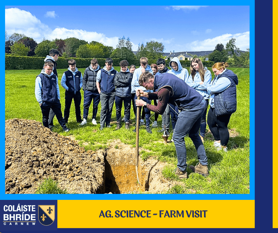 cbcarnew's tweet photo. Sixth year Ag Science students visited Michael Martin’s tillage and beef farm in Rathnure, Co. Wexford.    The day was filled with lots of students discussion on farm safety, welfare, nutrition, housing and care of beef and calf to beef systems. https://t.co/DAYqAbY3RL