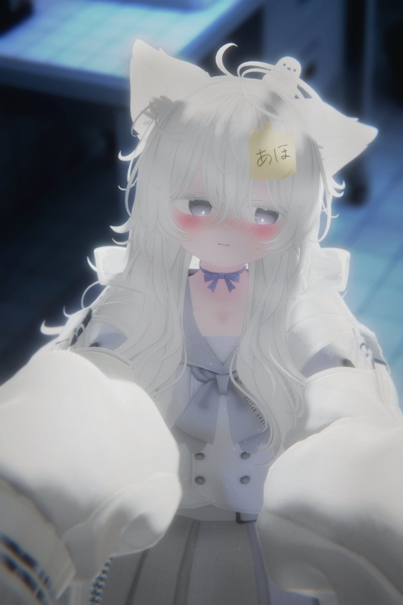 かぶ猫 tweet media