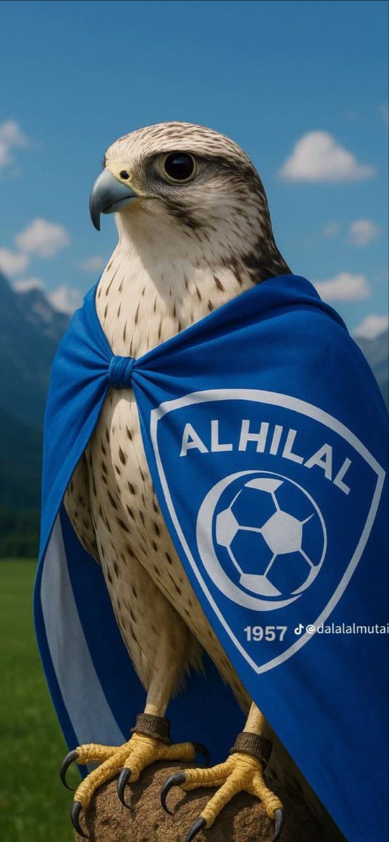 LT_1234562's tweet photo. هلال اليله فالنا الفوز بإذن الله 🤲🏼💙🤍💙💙 https://t.co/WLyFm3PwTr