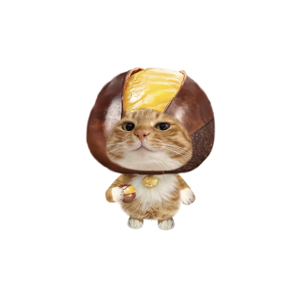 一颗栗子 tweet media