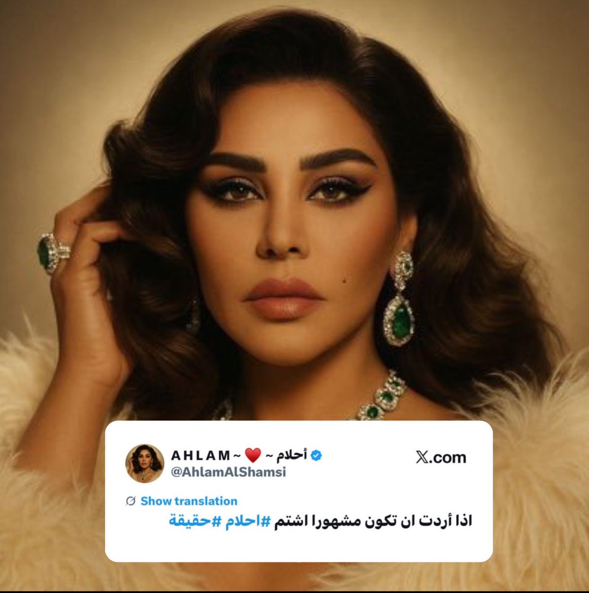 🇦🇪طربوش tweet media