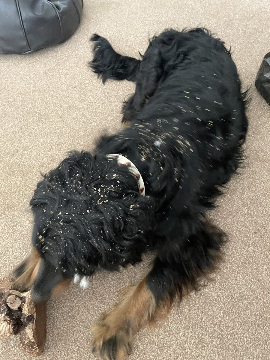 Anna tweet media