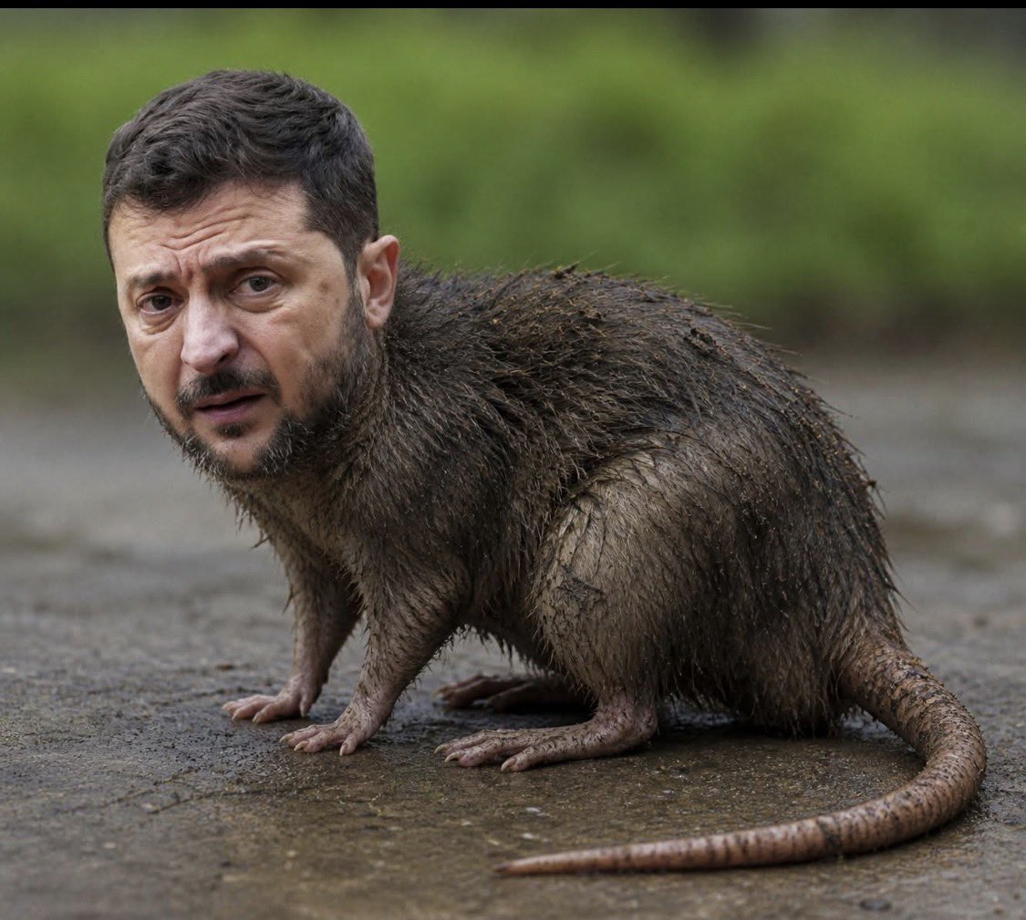 Giovanni Zanutta tweet media