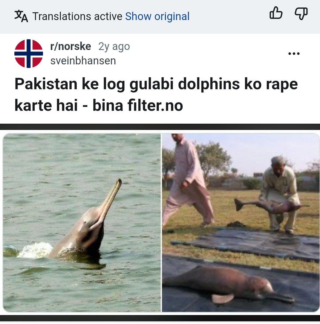 Nil Gade tweet media