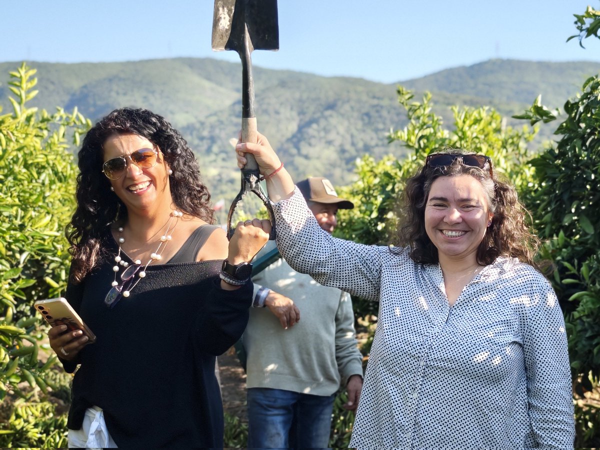 Perfruts's tweet photo. 🌱 #FruticulturaSustentable | En el equipo PerfrutS seguimos trabajando día a día por un agro más sustentable en la Región de Valparaíso, impulsando iniciativas que promuevan el capital humano, la eficiencia, la innovación y el desarrollo sostenible

✨ https://t.co/ycSWimRcej https://t.co/BwNwOgKVi9