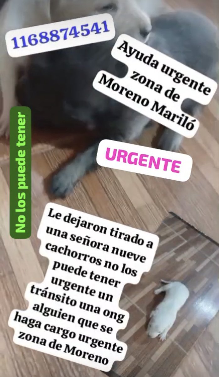 monikaug22's tweet photo. Difundir https://t.co/CA5A7hFBtc