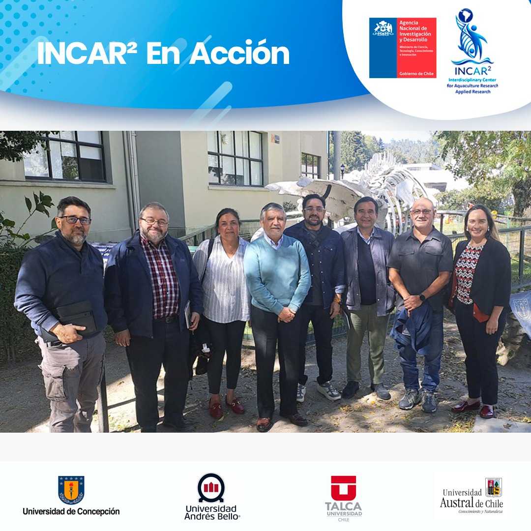 INCAR² tweet media