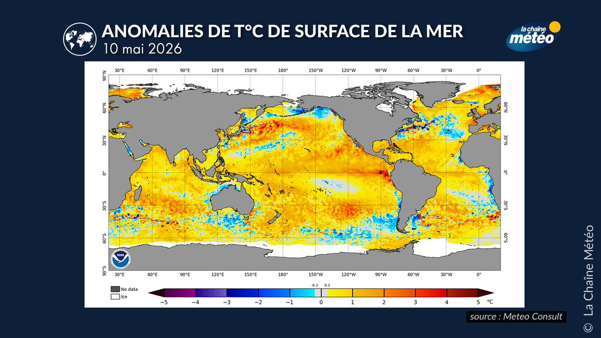 lachainemeteo's tweet photo. 🌊 Le phénomène #ElNino semble progressivement se mettre en place dans le Pacifique tropical. Mais attention : entre divergences des modèles et “couplage” océan-atmosphère encore incertain, les scientifiques restent prudents. Un été très chaud en Europe n’est pas automatique. 🌡️🌍 #météo #climat