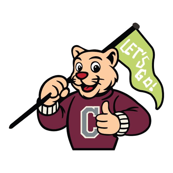 RobertScottjr_8's tweet photo. Blessed to receive my first football offer from Concord University #AGTG @PagePiratesFB @Coach_Gilkes https://t.co/njDzURFNOl