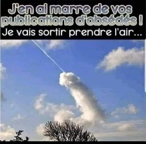🏴‍☠️Mel 🏴‍☠️🥓🍋🍷😎 tweet media