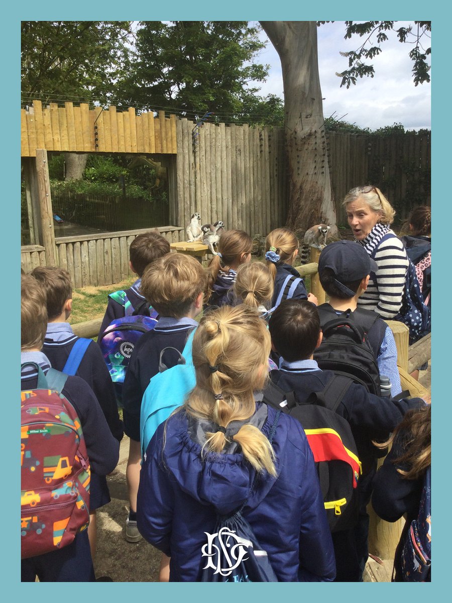 DPCranbrook's tweet photo. Roars, rainforests and remarkable discoveries! 🐒🌿🦜

This week, Year 3 visited Drusillas Park to bring their Science topic on adaptation, and their Geography rainforest topic, to life. 

#DulwichCranbrook  #EducationalVisit #ScienceInNature https://t.co/3GTMBk23mm