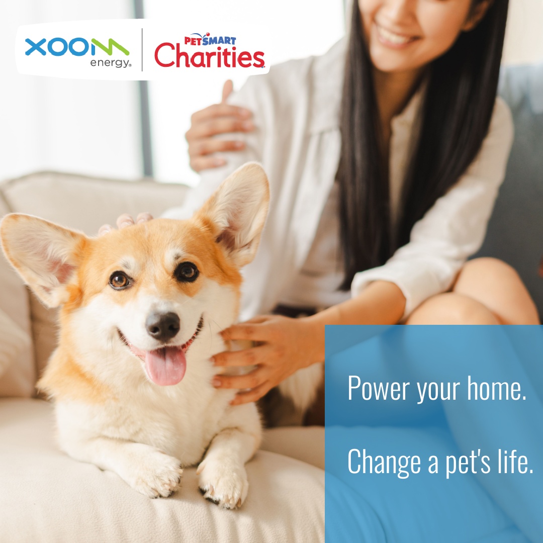 Give your energy bill some paw‑sitive power! With RescueLock 12, 5% of your monthly energy charges help support PetSmart Charities\* — you’re fueling hope for pets in need.
AND you get the peace of mind that comes with a fixed priced energy plan. bit.ly/2Qacrdb