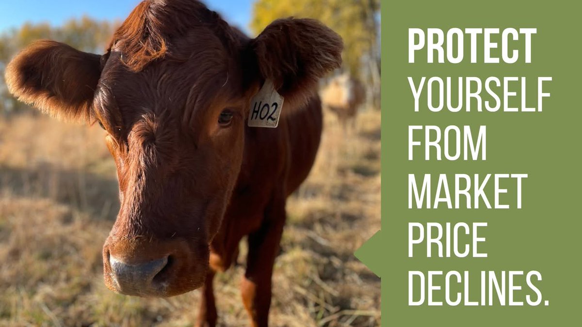 Agriculture Financial Services tweet media
