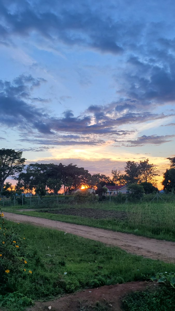Osuta Snr 🇺🇬 tweet media