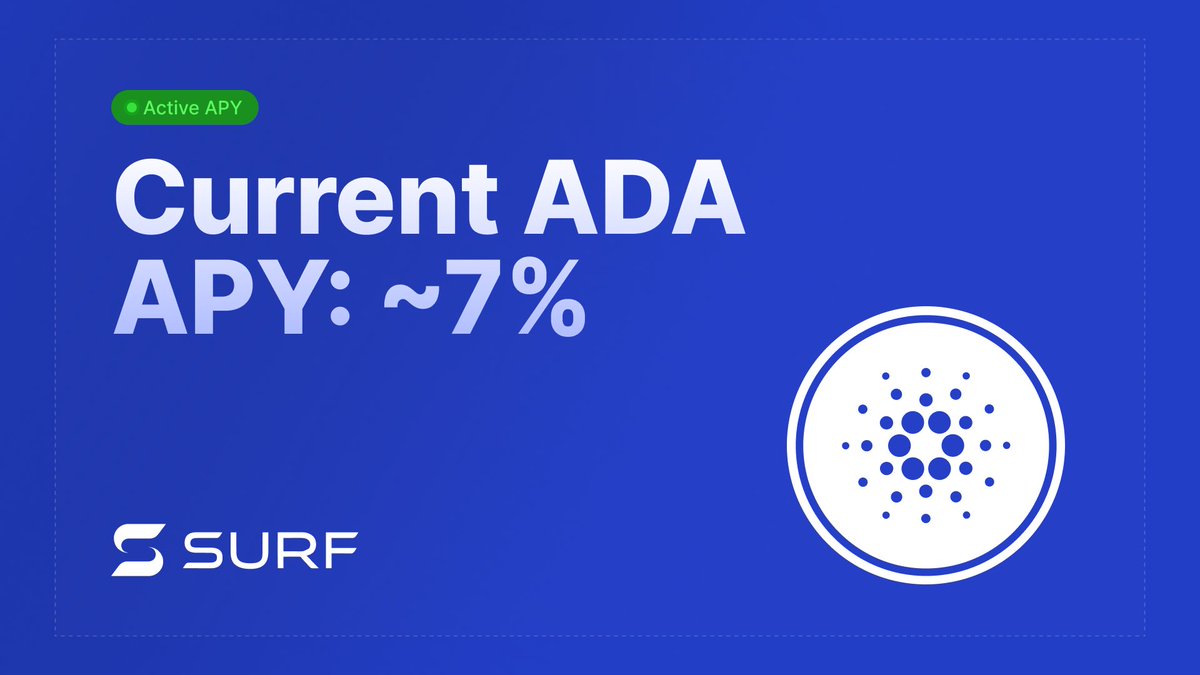 Surf | Lending Pools on Cardano tweet media