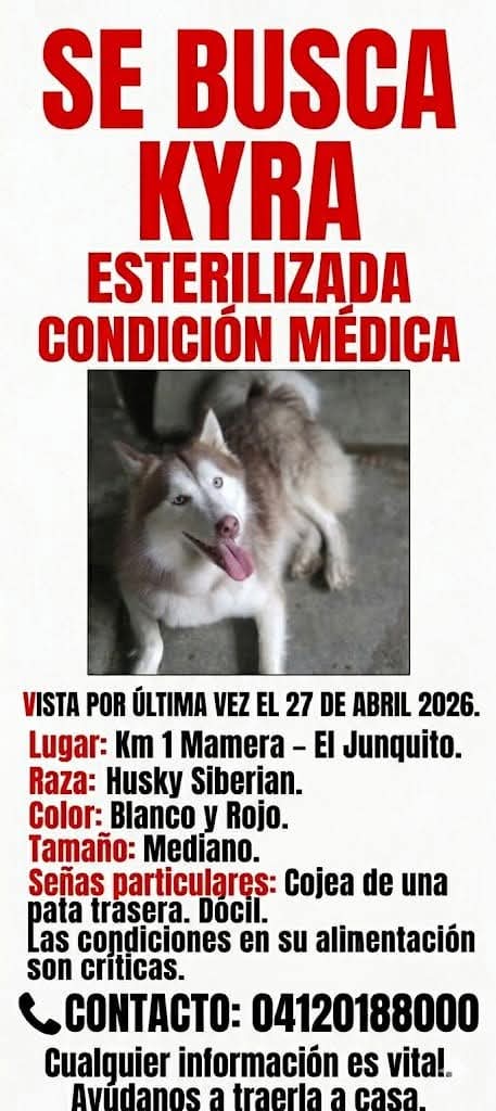 Bárbara Castillo Donate tweet media
