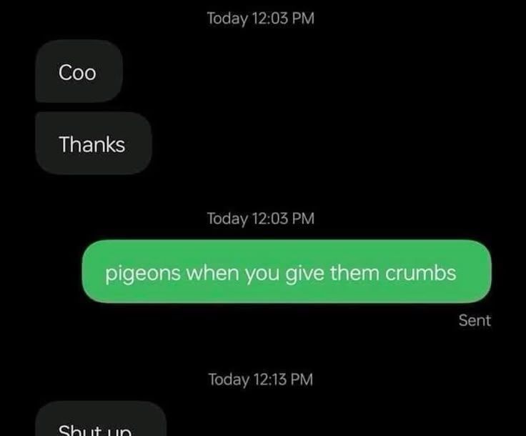 weird text messages tweet media
