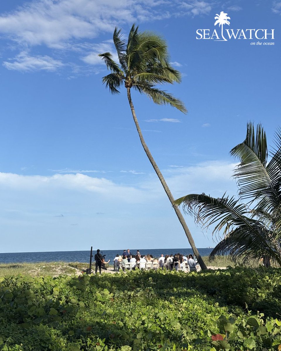 SeaWatchOnOcean's tweet photo. Host your next event at Sea Watch on the Ocean 🌊✨

From intimate celebrations to corporate gatherings, our oceanfront setting, exceptional dining, and stunning views make every event unforgettable.

#SeaWatchOnTheOcean #FortLauderdaleEvents #PrivateEvents #OceanfrontEvents https://t.co/A3ODdkO2nl