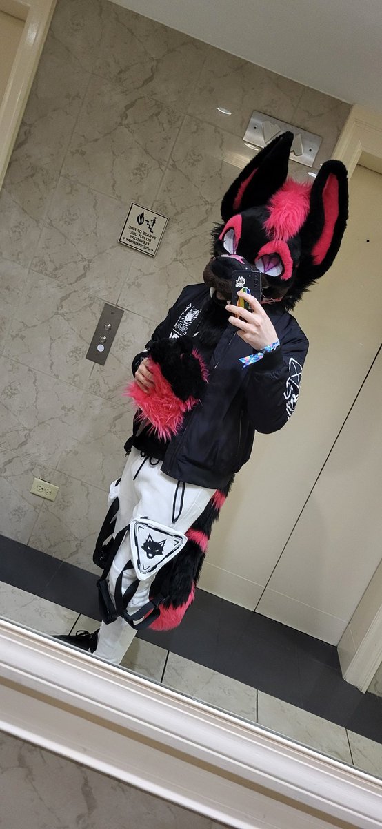 RealKingKonrad's tweet photo. Thanks for a fantastic FWA, didn't take too many pics, so here's some. Thanks to everyone I met, took pics with and got hugs from. Looking forward to the next con #FWA2026 #FWA #Fursuit https://t.co/zQfEYE0kk5