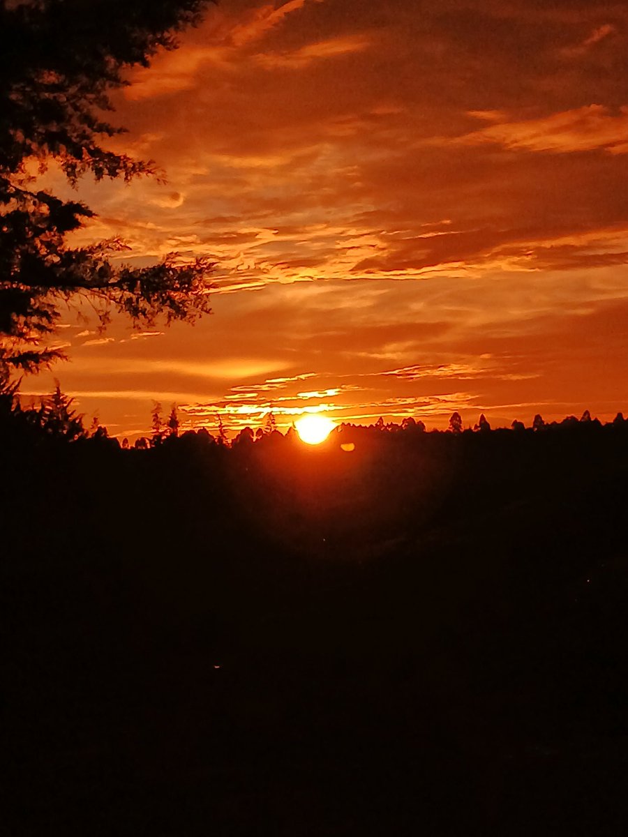 giddy_terer's tweet photo. Today's sunset 🌇 https://t.co/qGc6csV7Hi