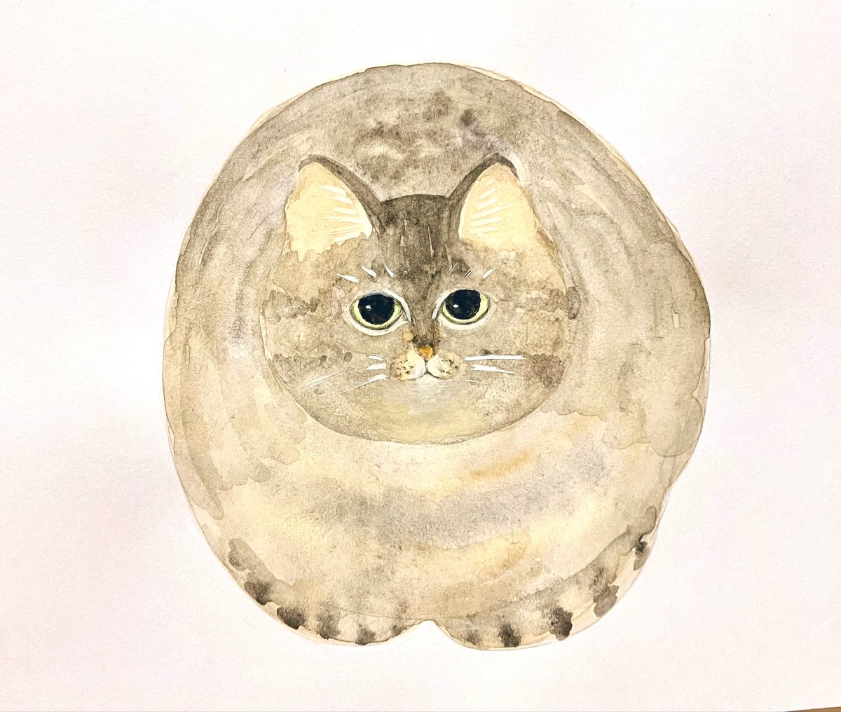 bubuchiyo's tweet photo. 猫 https://t.co/9c4eIOrATj