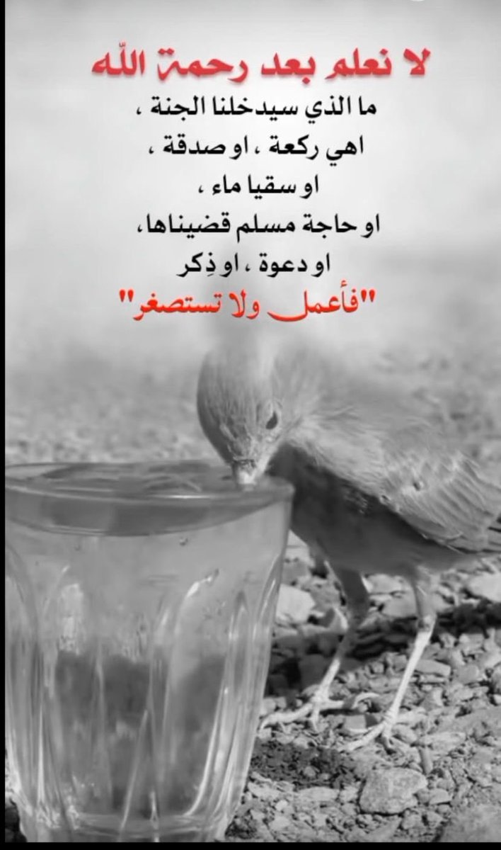 عبدالعزيز محمد الكوير tweet media