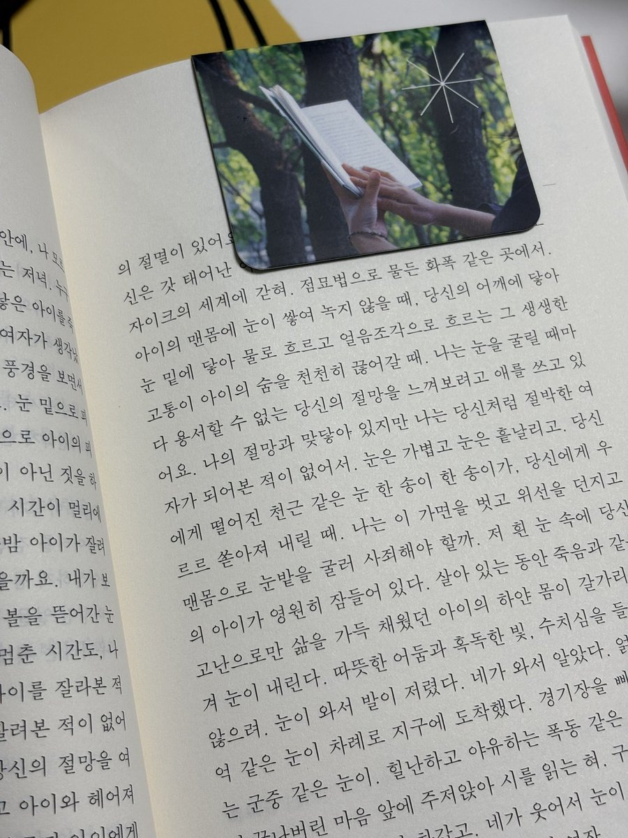 굴이 tweet media