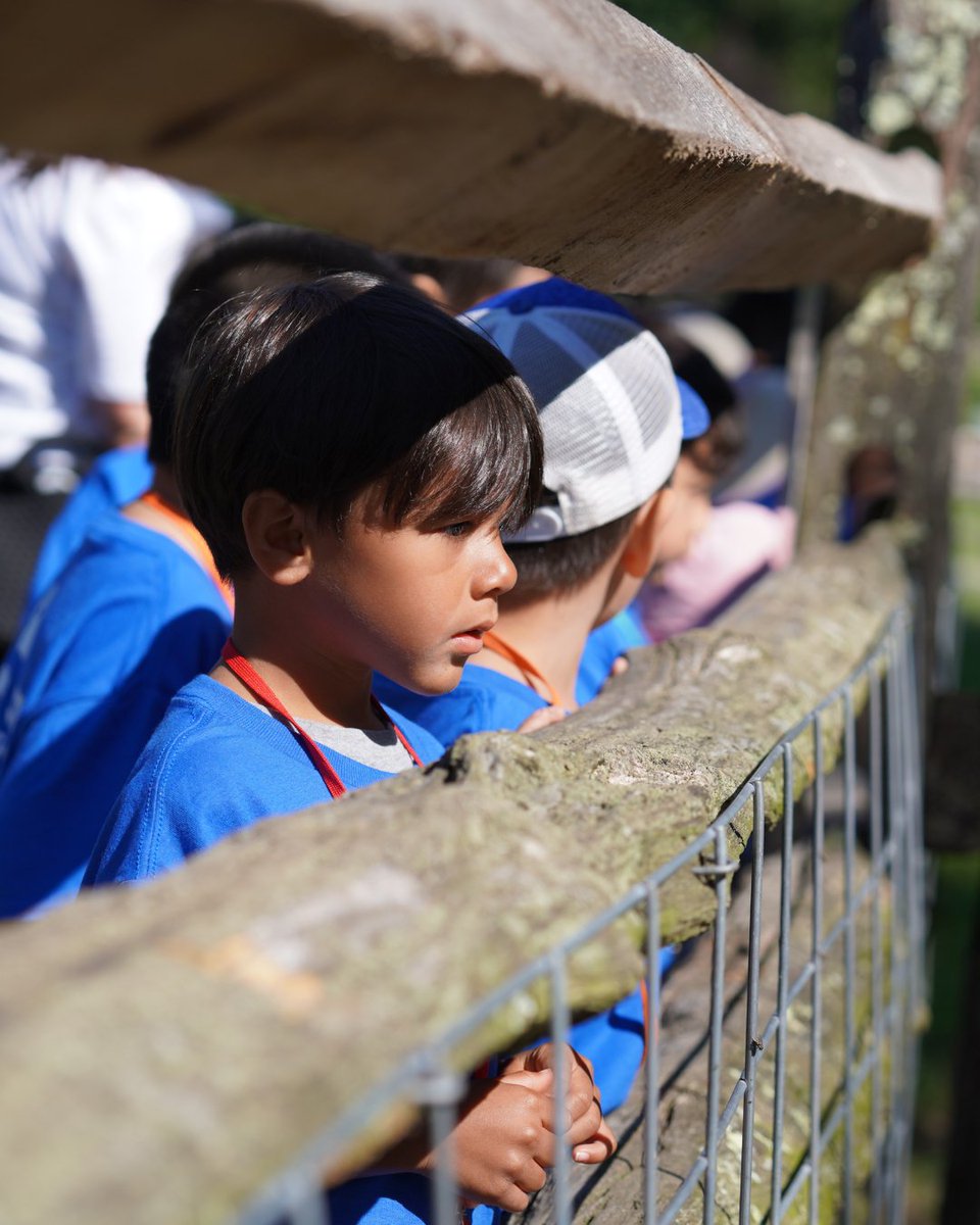 SPEFct's tweet photo. We’re excited to share that the SPEF Summer Start program will be returning this year and will run from June 29th through July 31st at KT Murphy Elementary School! The Summer Start program is brought to you by the Stamford Public Education Foundation (SPEF). https://t.co/caAPLcTDYy