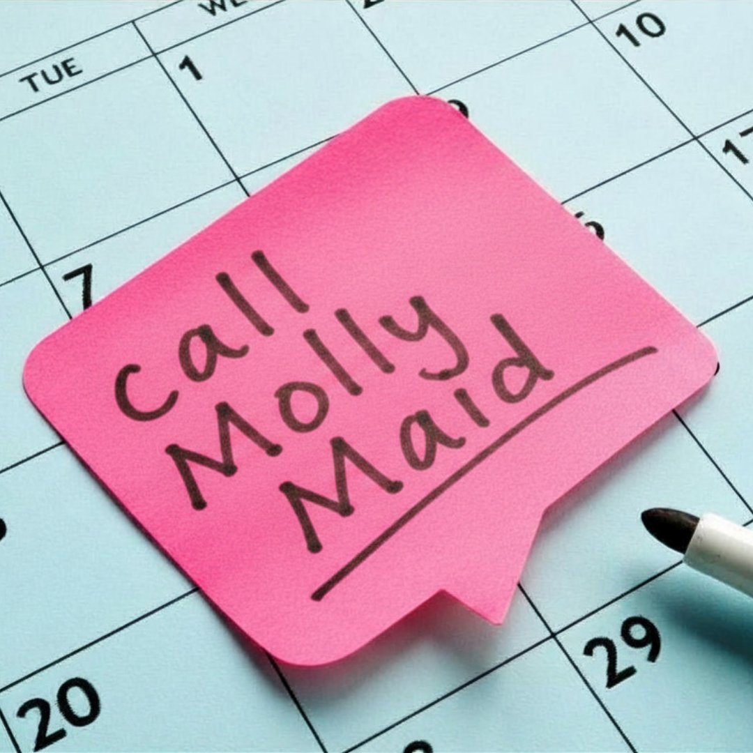 Molly Maid® tweet media