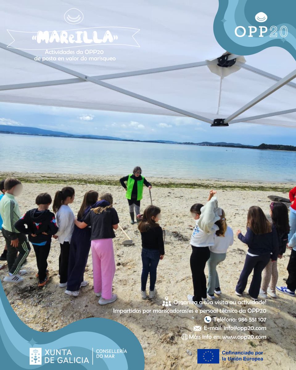 OPP20AIlla's tweet photo. 🌊👣 |OPP20OFICIO

Alumnado de 3º de primaria do CEIP Torre Illa participaron onte nas actividades a pé de praia da OPP20

Coñeceron os bancos marisqueiros, identificaron especies e aprenderon a importancia de respectar tamaños e tempos do mar💙

#OFICIO #Marisqueo #AIlladeArousa https://t.co/Z2DQi9FNNn