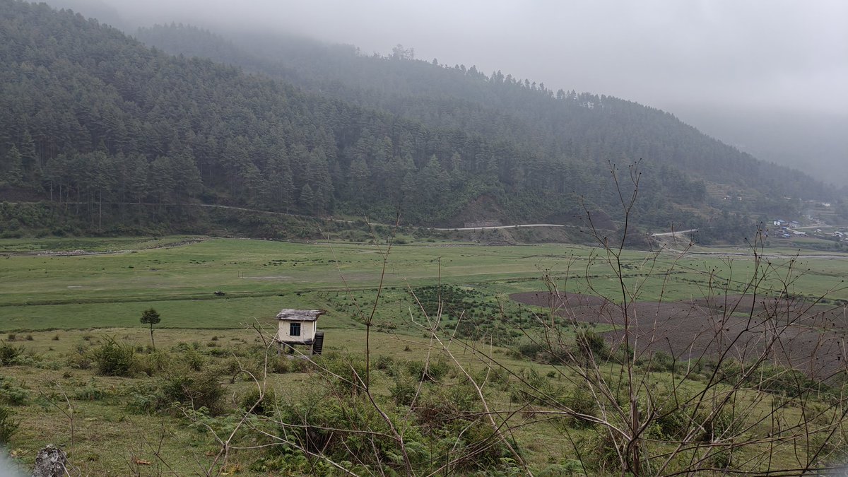 日々のネパール情報🇳🇵 tweet media