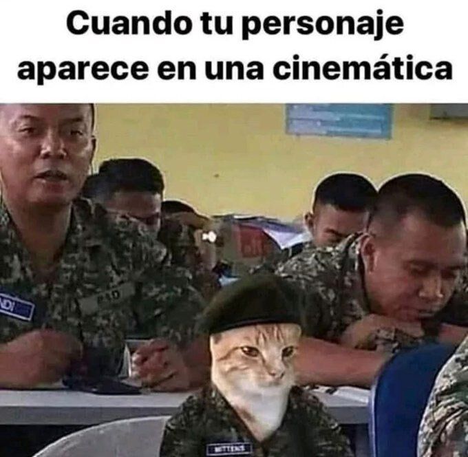 chincheto pirata somali tweet media