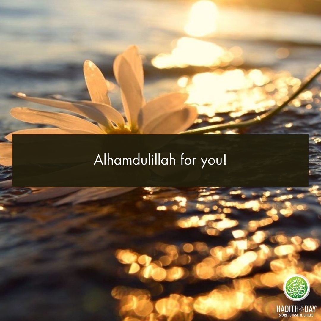 Hadith of the Day tweet media