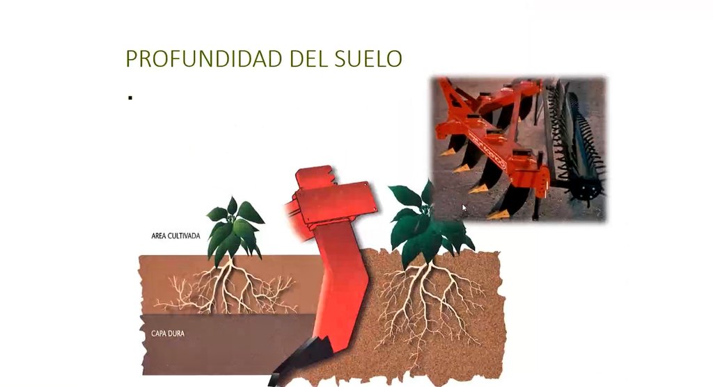 CFIE_CR's tweet photo. Sesión formativa en el @iesfraydiegot con @pablolabajos_ma. Sostenibilidad y metodologías participativas. Creando actividades de educación ambiental, como los huertos escolares, desde la participación y educación en contacto con la naturaleza.
#FormacionCyL https://t.co/FcI15TQi7k