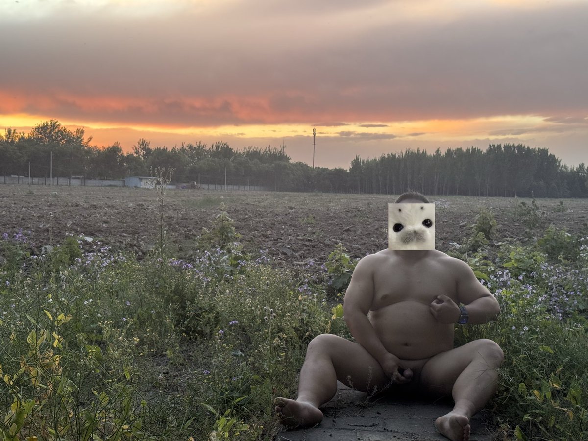Lazybear tweet media