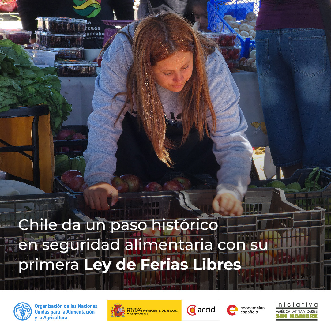 FAO Américas tweet media