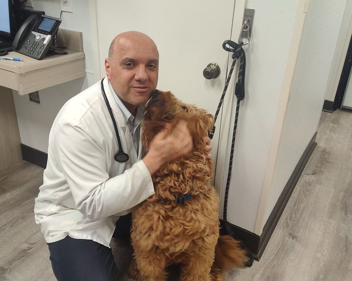 EdenAnimalSC's tweet photo. Archie getting the VIP treatment from Dr. Kerolos 🐾💙
All the cuddles, all the care, and maybe a few extra treats too 😉

Don’t forget—May is the perfect time to check in on your pet’s health!
✨ 10% OFF bloodwork with your pet exam all month long ✨ https://t.co/TmjBmfOez7