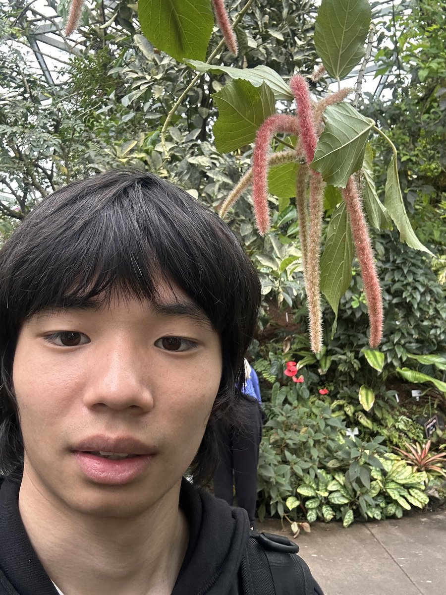 千代谷竜司 tweet media
