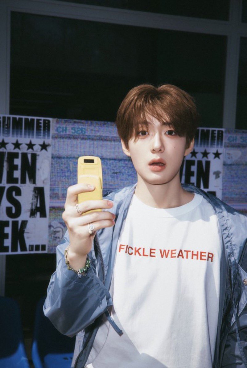 뚀 tweet media