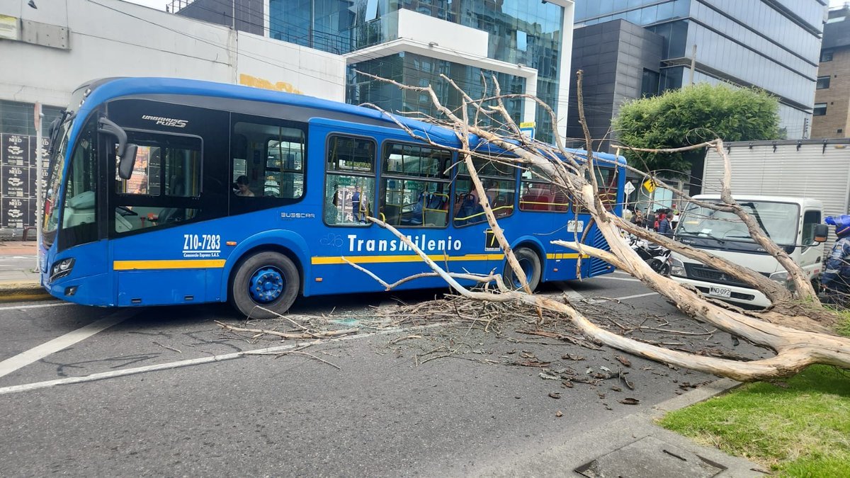 #BOGOTÁ. Se presenta afectación vial por caída de árbol sobre un bus del SITP en la localidad de Usaquén, calle 127 con carrera 16, sentido Occidente - Oriente. Se recomienda tomar vías alternas, bastante congestión vehicular en la zona. Por fortuna no se reportaron lesionados.