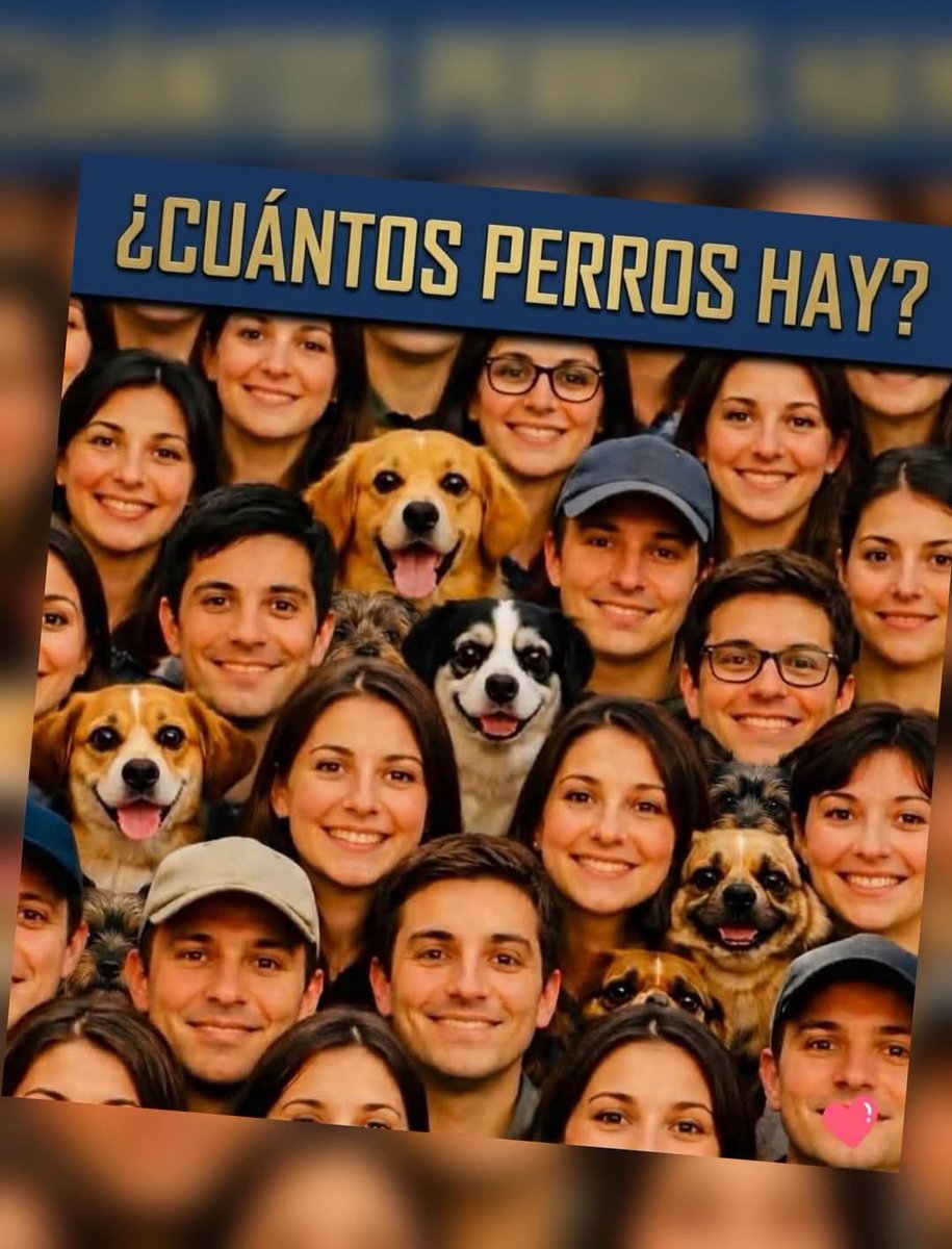 SandraQuiñones tweet media