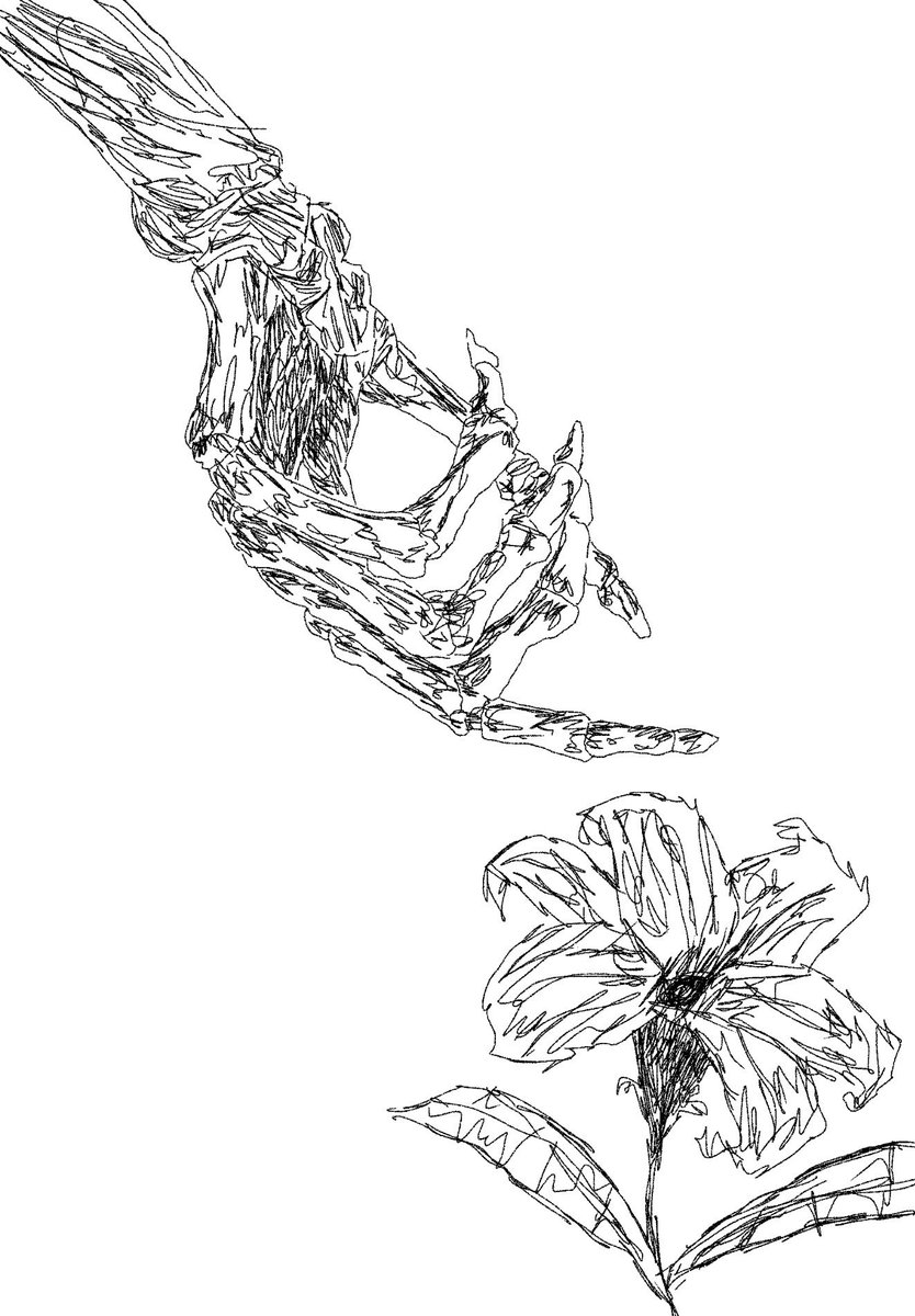 M7madDraw's tweet photo. Hands and flowers https://t.co/acUhNsy7Ti