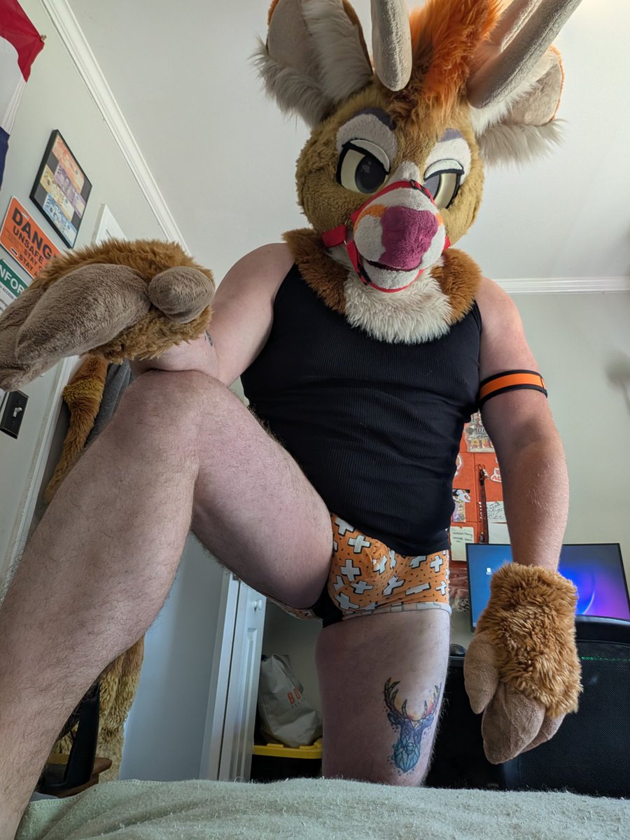 Aloy_Deer 🦌 tweet media