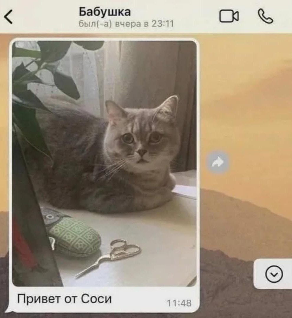 товарищ милиписькин tweet media