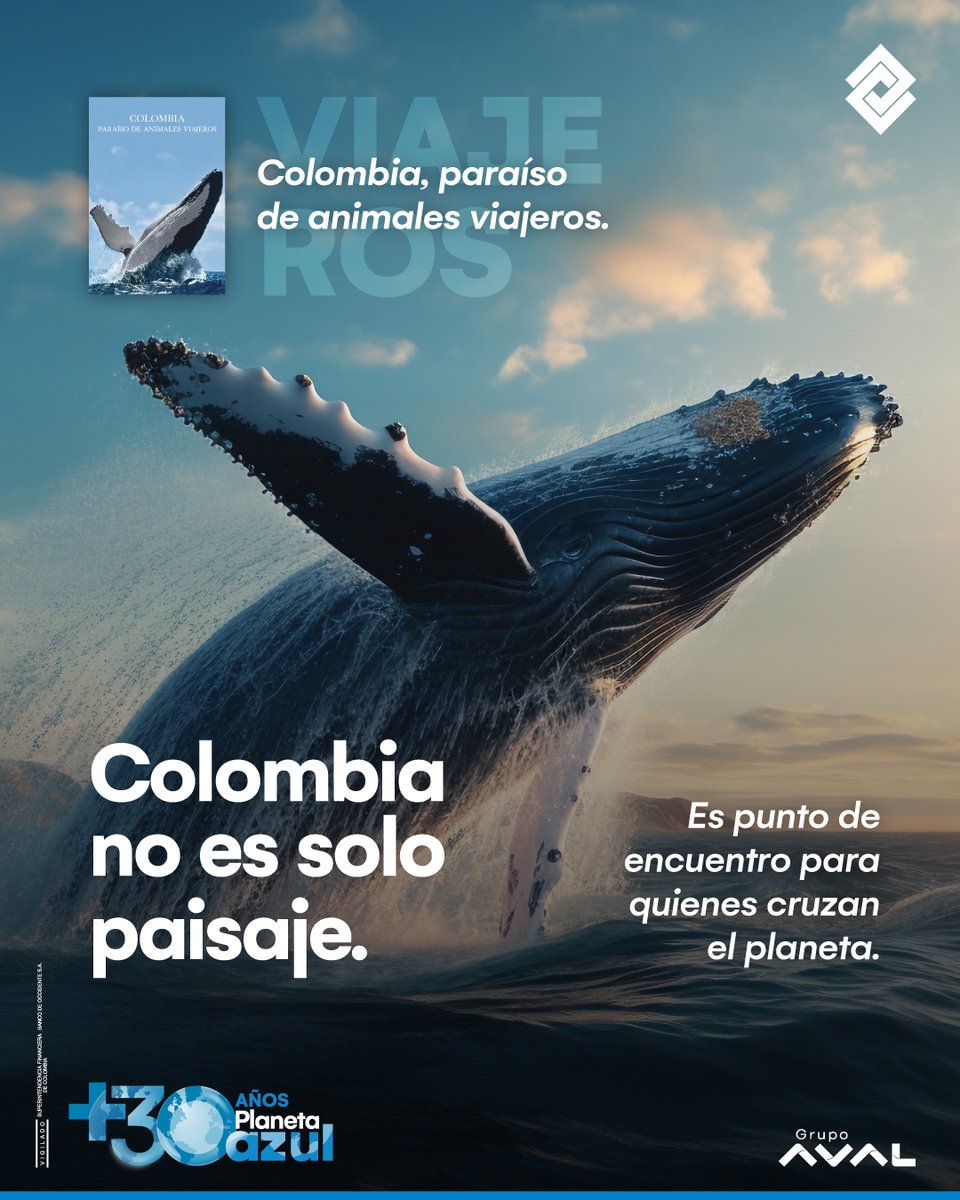 ComPlanetaAzul's tweet photo. Colombia es escenario de historias que pocos conocen… pero todos debemos proteger.

Conócelas aquí https://t.co/7W4IEOJ7Wm

@comunidadplanetaazul @BcoOccidente @bco_occidente @bancosaval @BancosAval
#ComunidadPlanetaAzul #PremioPlanetaAzul #Ecolibros #TuHacerImpacta https://t.co/lGpNcRwpp5