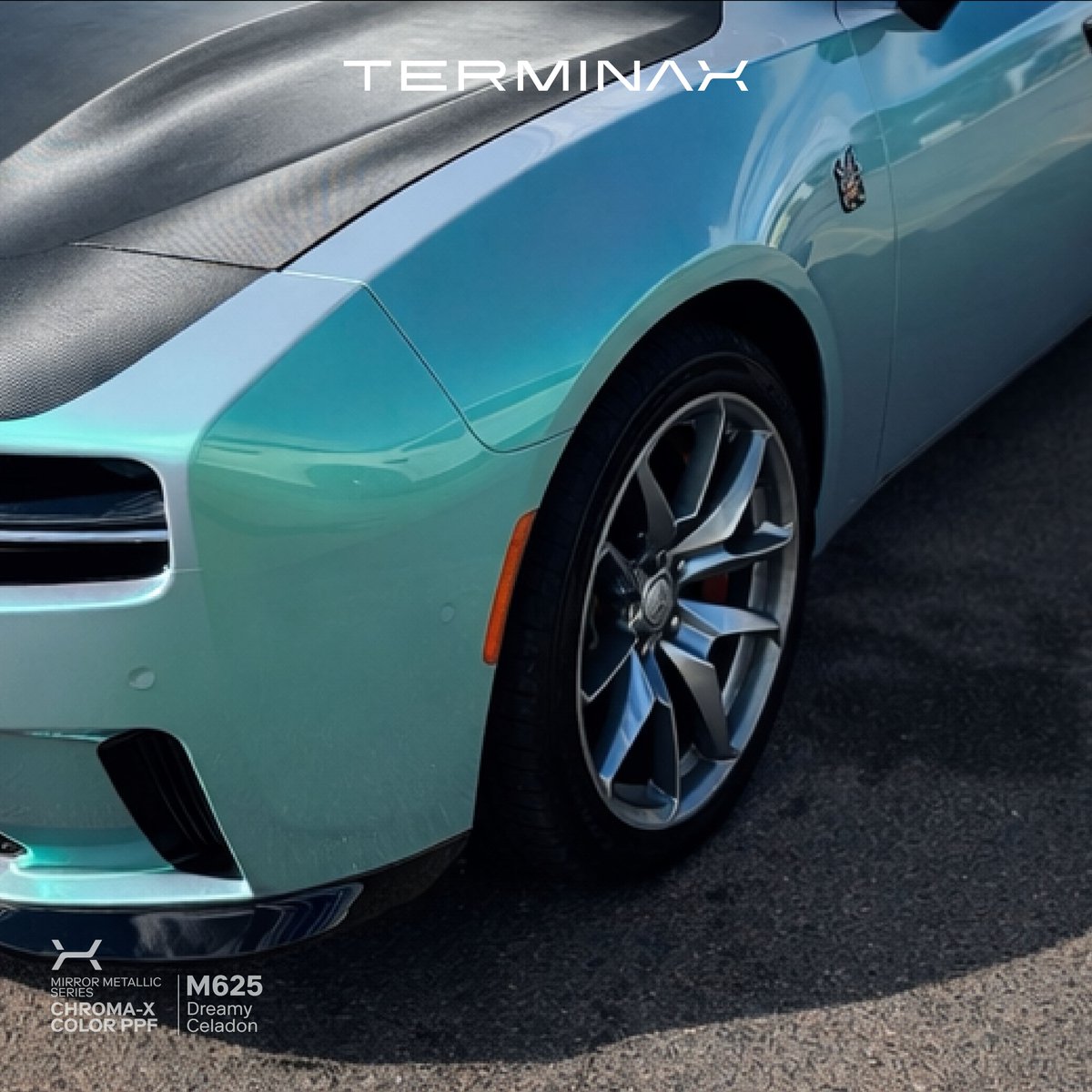 Terminax_USA's tweet photo. The kind of color that completely shifts depending on the light.
Our DREAMY CELADON laid over this Charger gives off a smooth pastel metallic finish with subtle green-blue tones that hit differently at every angle.

#TERMINAX #charger #ppf #carlife https://t.co/OgT1aiAZ0G