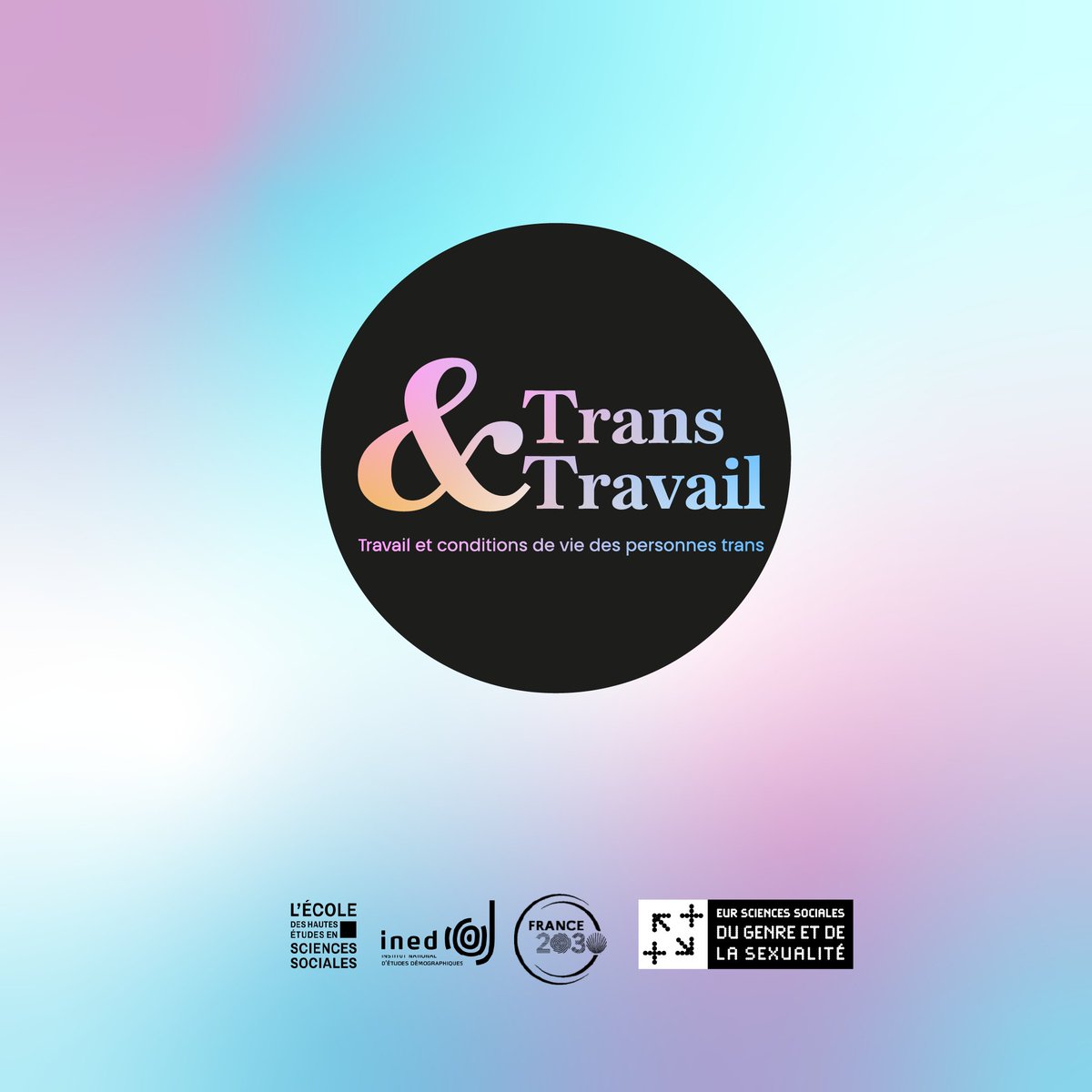 Enquête Trans & Travail tweet media
