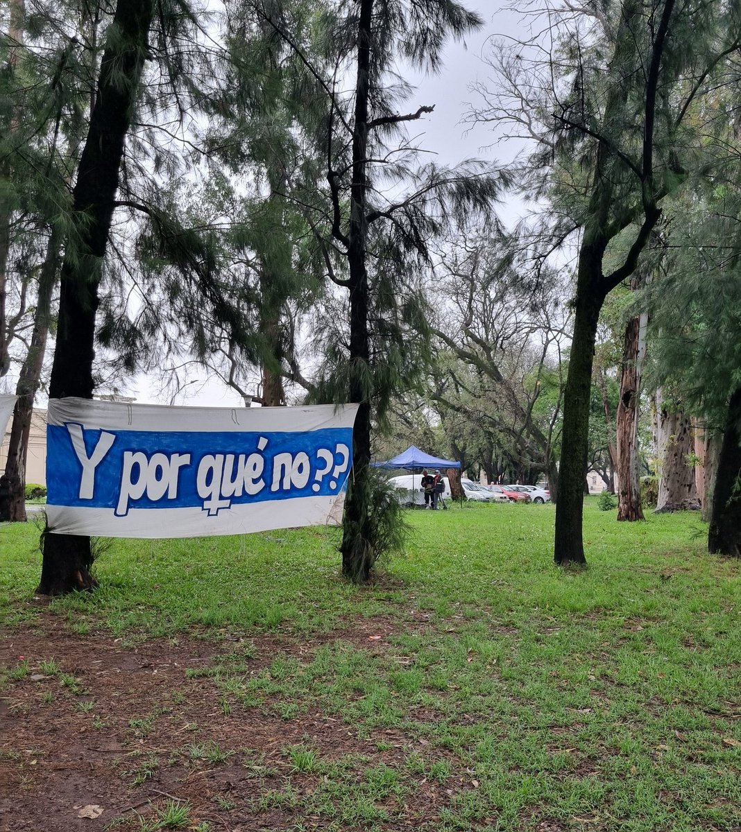 AGUSTÍN 🐺✍️ tweet media