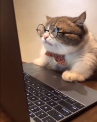 𝐊𝐢𝐬𝐡 tweet media